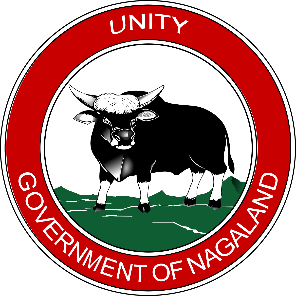 Nagaland Jobs : Nagaland University Recruitment 2024 - NORTHEAST NOW